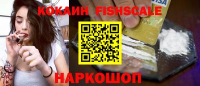 гидропоника Будённовск