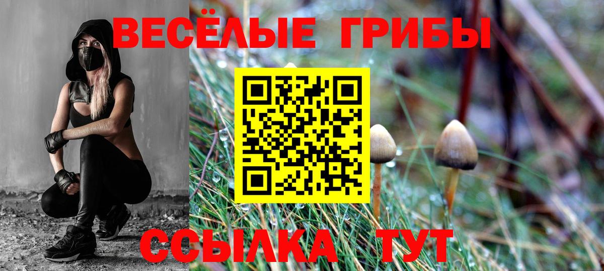 Галлюциногенные грибы Psilocybine cubensis Великий Устюг