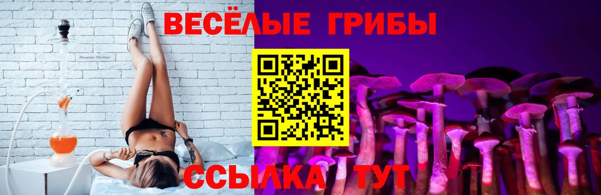 Псилоцибиновые грибы Psilocybine cubensis  Псилоцибиновые грибы мицелий  Великий Устюг  Вход с VPN 